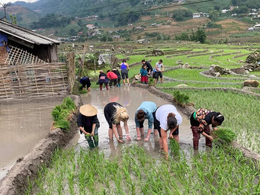 Tavan Dragon House Lao Cai Luaran gambar